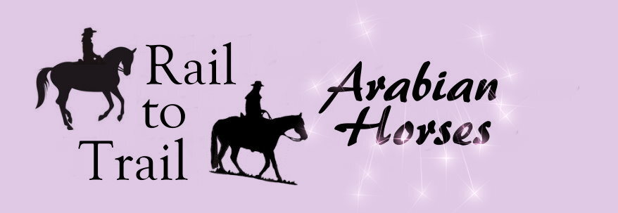 Rail to Trail Arabians